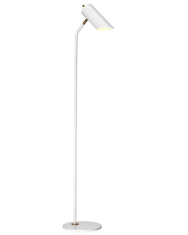 Metal Plated Functional Floor Lamp