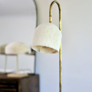 Fossil Coral Arch Lamp