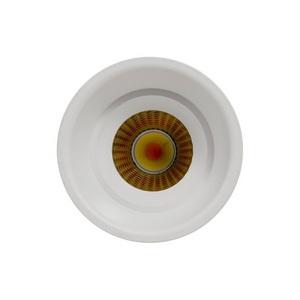 Matte White Fixed LED Downlight | Lighting Collective