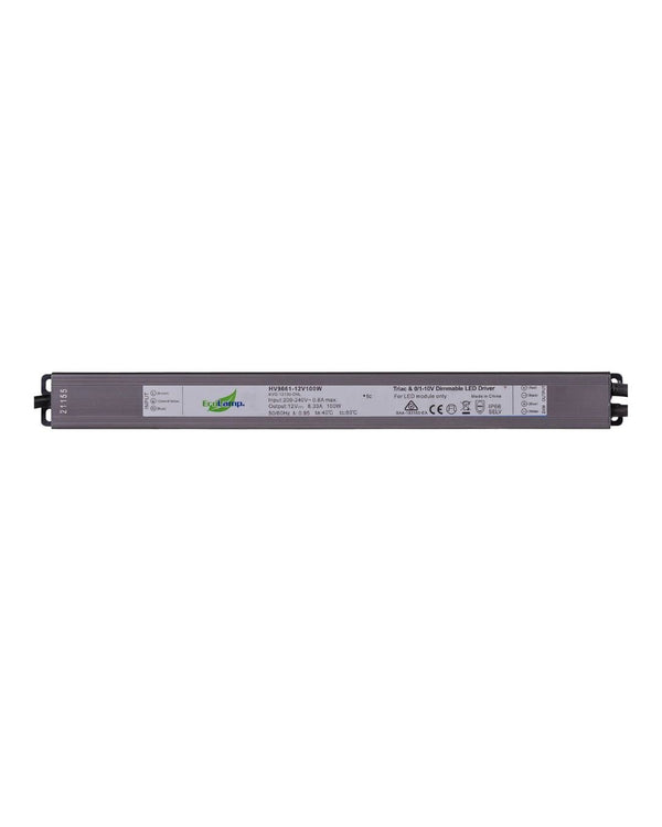 12V DC / 100W