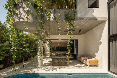 Project Feature | Halo House