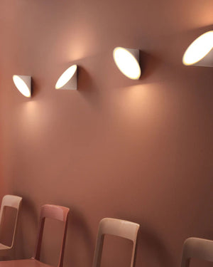 Blossom Wall & Ceiling Light | Assorted Finishes