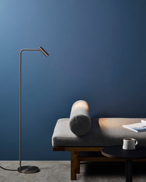 Minimalist Metallic Floor Lamp | Assorted Colours