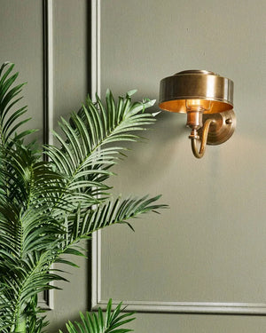 Antique Brass Curved Arm Wall Light with a plant in the foreground | Lighting Collective 