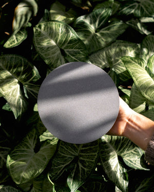 O2 Concrete Wall Light