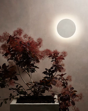 Round wall light fixture on a neutral wall with decorative plants in the foreground