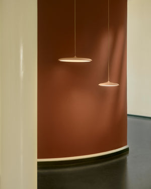 Two pendant lights hanging from a red wall with a neutral background