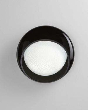 Curved Blown Glass Wall Light