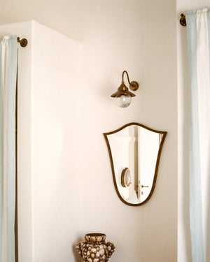 Exterior Antique Brass Gooseneck Wall Light