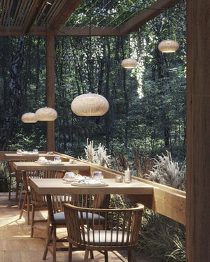 Exterior Orb Pendant Track Light