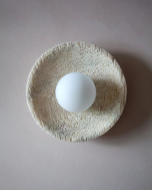 Fossil Coral Orb Wall Sconce  Light off