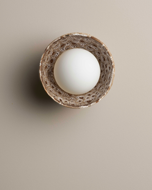 White globe in a decorative brown bowl light on a beige background.
