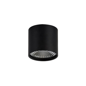 Surface Mounted Black LED Downlight | Assorted Size | TRIColour