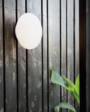 White spherical outdoor light fixture on a wooden wall with a plant in the foreground.