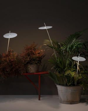 Landscape Matte White Disc Spike Light-Lighting Collective
