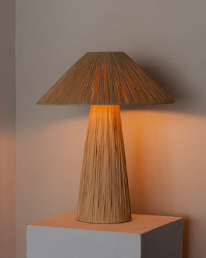 Woven Raffia Table Lamp Lighting Collective Photoshoot Showroom