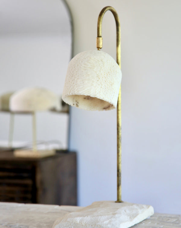 Fossil Coral Arch Lamp
