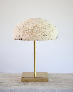 Fossil Coral Mushroom Lamp