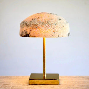 Fossil Coral Mushroom Lamp