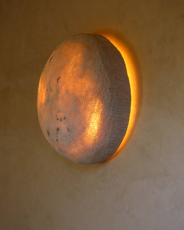 Fossil Coral Moon Wall Light