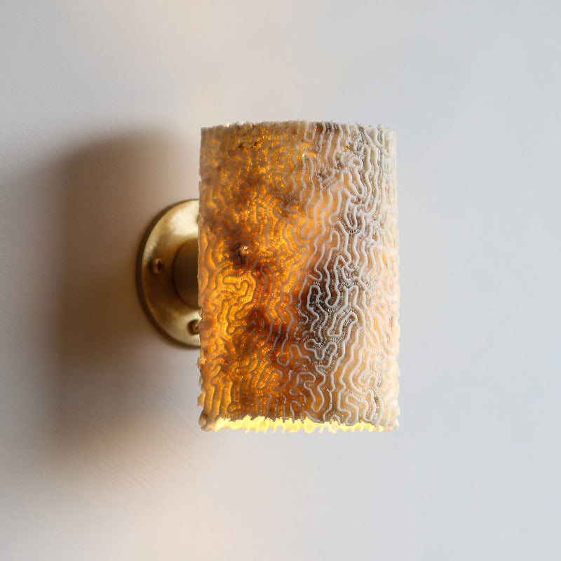 Brass store tube sconce