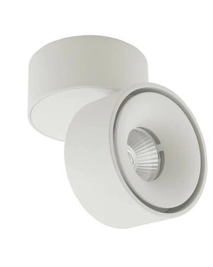 Mini Adjustable LED Spot Light 