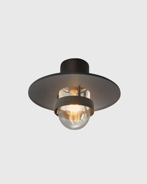 Modern Caged Exterior Ceiling Light | Assorted Finish