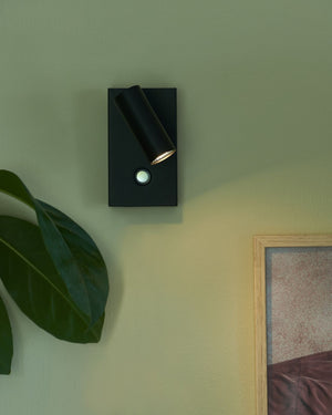Black wall-mounted light fixture on a green wall with a plant and framed picture in the background.