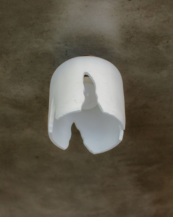 Bone White / New Brass