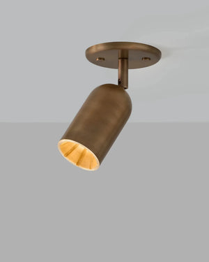Solid Brass Spot Ceiling Light
