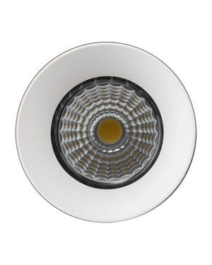 Trimless LED Downlight | 5 Colour LED