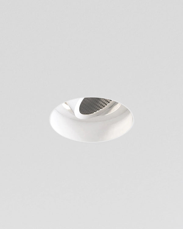 Trimless Round Adjustable Downlight