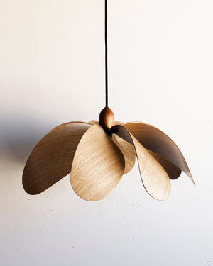 Australian Timber Propeller Pendant - Lighting Collective