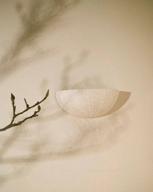 textured ceramic sea urchin sconce on white wall with soft shadows