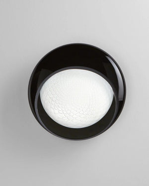 Curved Blown Glass Wall Light - Lighting Collective