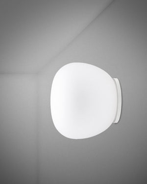 Dome Wall & Ceiling Light - Lighting Collective