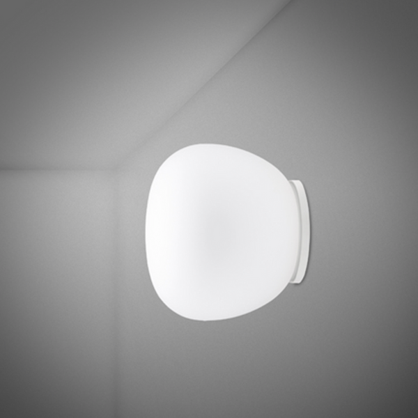 Dome Wall & Ceiling Light