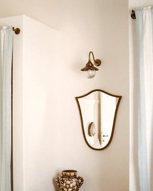 Exterior Antique Brass Gooseneck Wall Light
