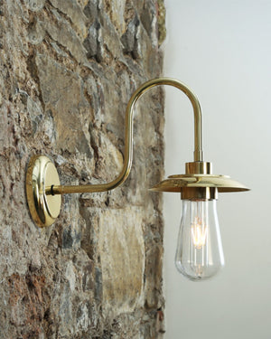 Brass Swan Neck Wall Light