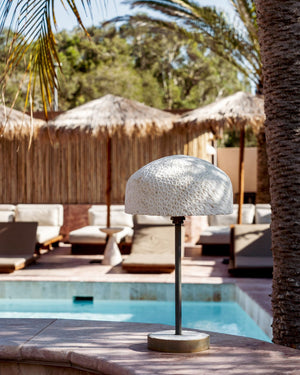 Fossil Coral Mushroom Lamp