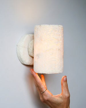 Fossil Coral Tube Wall Sconce