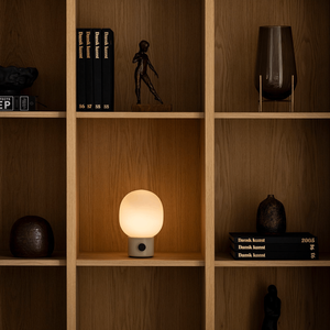 Scandinavian Portable Oval Table Lamp | JWDA on a bookshelf