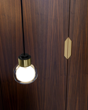 Pendant light bulb hanging against a wooden background