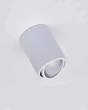 Adjustable Surface Mounted LED Downlight | White | Lighting Collective