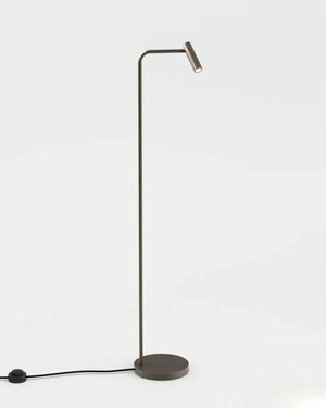 Modern floor lamp with adjustable neck on a white background