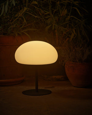 Small table lamp with a glowing white shade in a dark setting with plants.