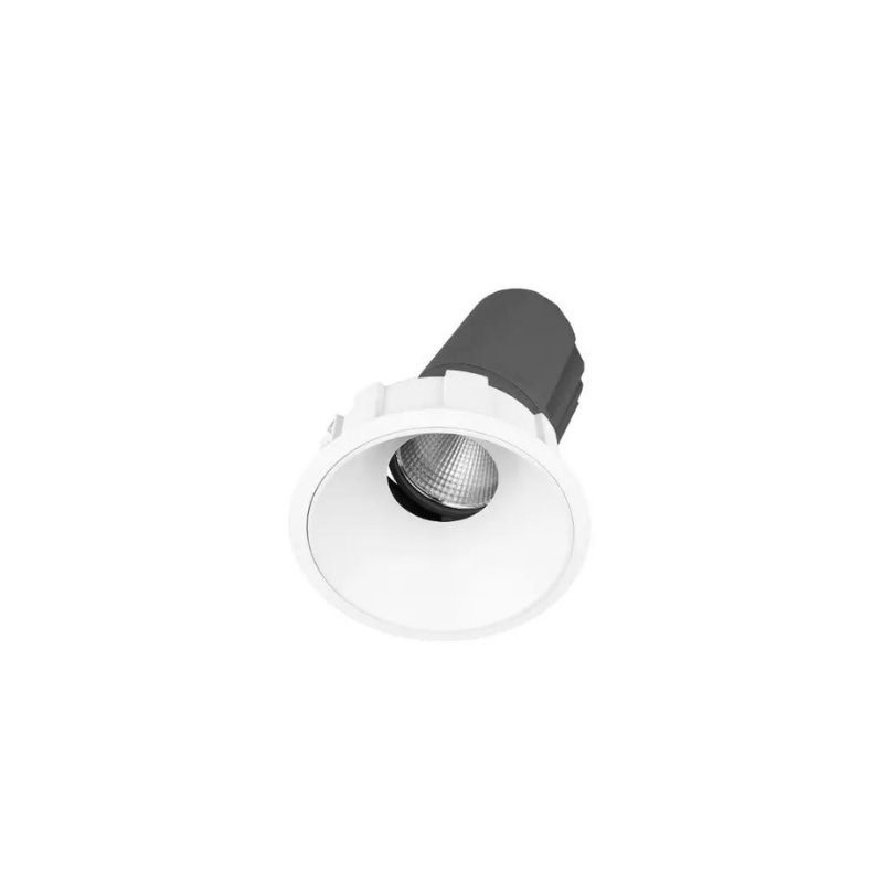 Recessed Adjustable Downlight – Lighting Collective