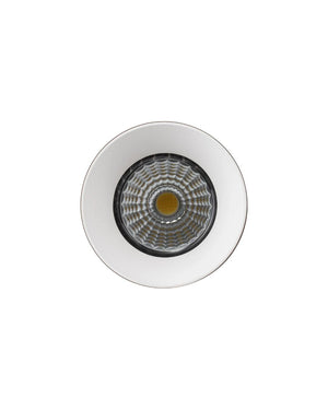 Trimless LED Downlight | 5 Colour LED - Lighting Collective