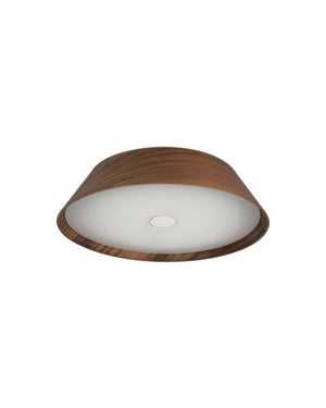 Walnut Timber LED Oyster Light with warm walnut veneer surround and frosted polycarbonate diffuser on white background