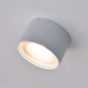 Surface Mounted White LED Downlight | Lighting Collective